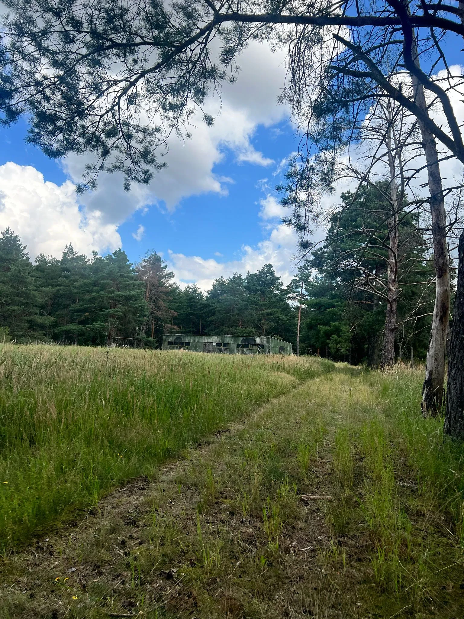 Foto 02 – Bunkergelände
