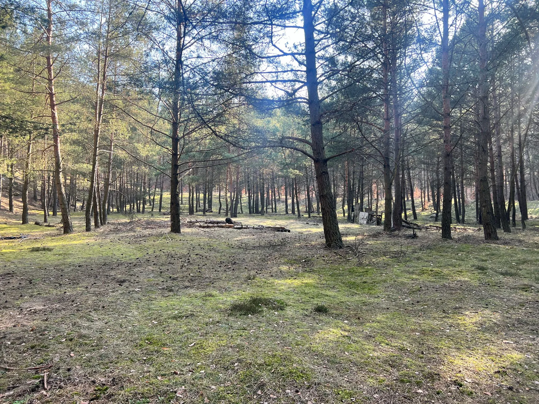 Foto 03 – Bunkergelände